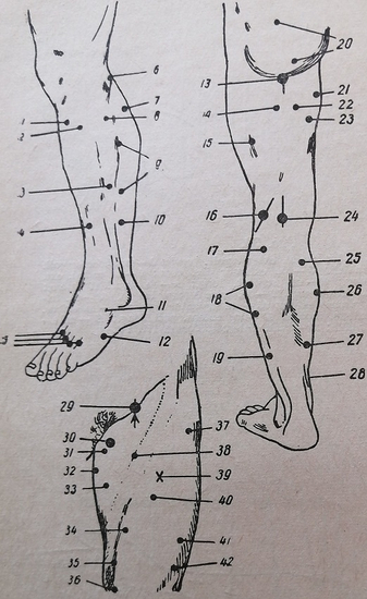 Рис. 39