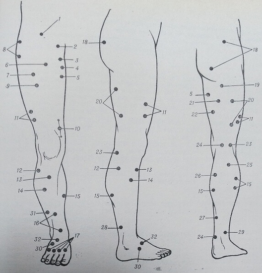 Двигательные точки на ноге