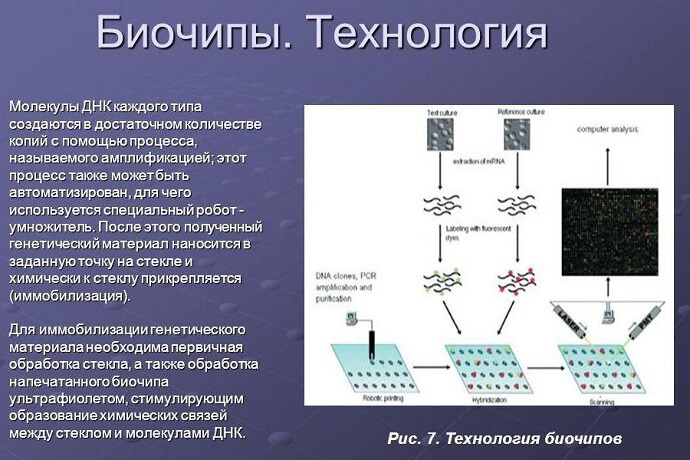 Основные принципы технологии биочипов