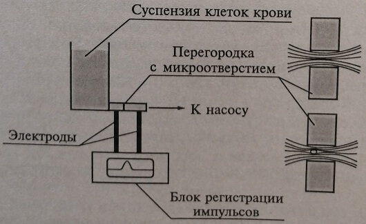 Схема работы кондуктометрического счетчика клеток