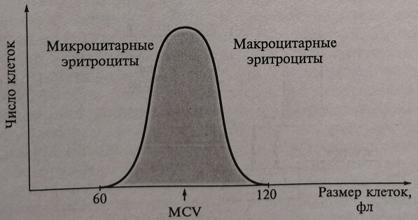 Гистограмма распределения эритроцитов по объему в цитометре