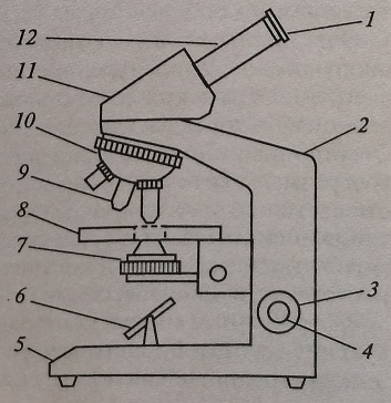 Схема устройства микроскопа