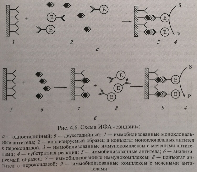 Схема ИФА