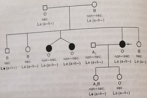 Родословная семьи с наследственной передачей типа Бомбей