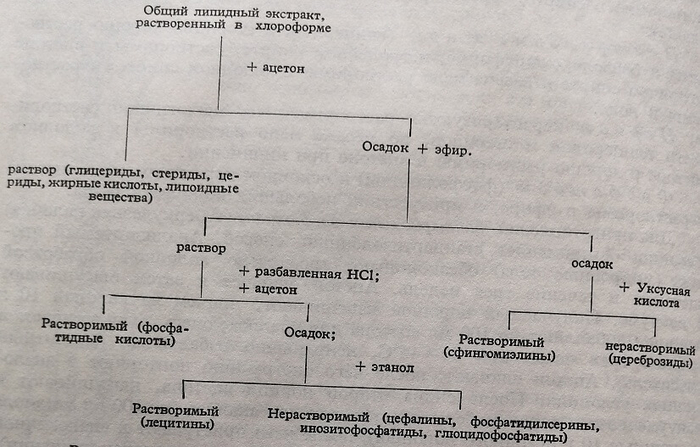 Схема операций фракционирования общего липидного экстракта