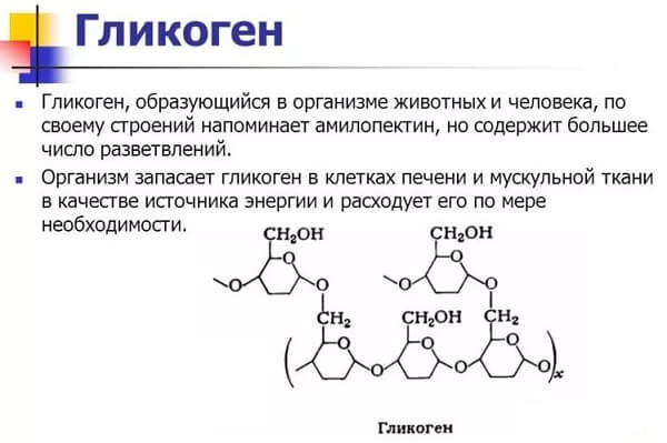 Что такое гликоген