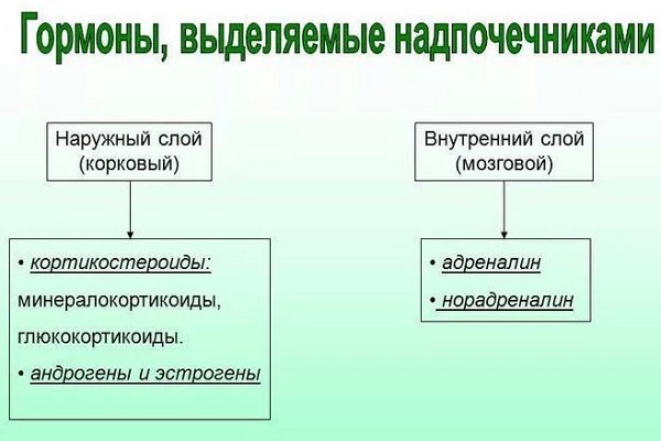 Гормоны, выделяемые надпочечниками