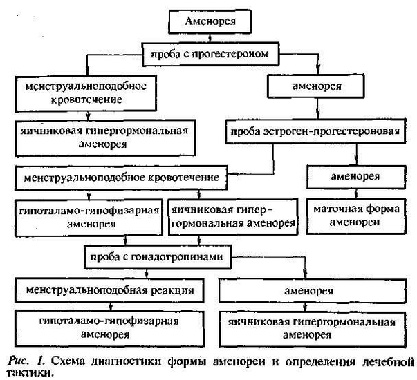 Схема диагностики формы аменореи