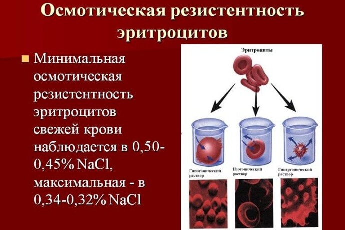 Осмотическая резистентность эритроцитов