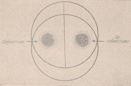 Проба на совместимость по резус-фактору