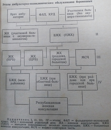 Этапы амбулаторно-поликлинического обслуживания беременных