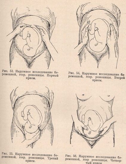 Приемы наружного исследования беременной