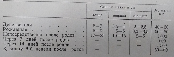 Размеры матки в различные периоды